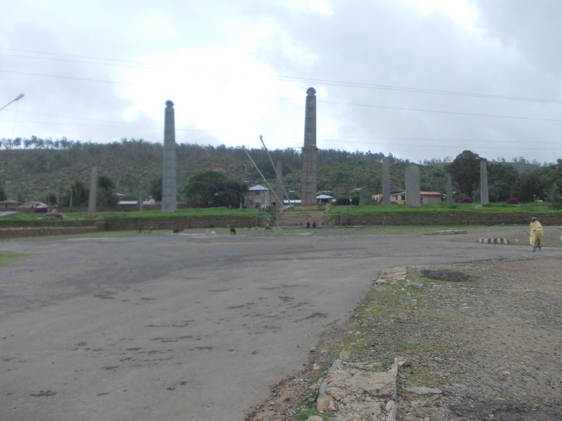 Axum stelae field