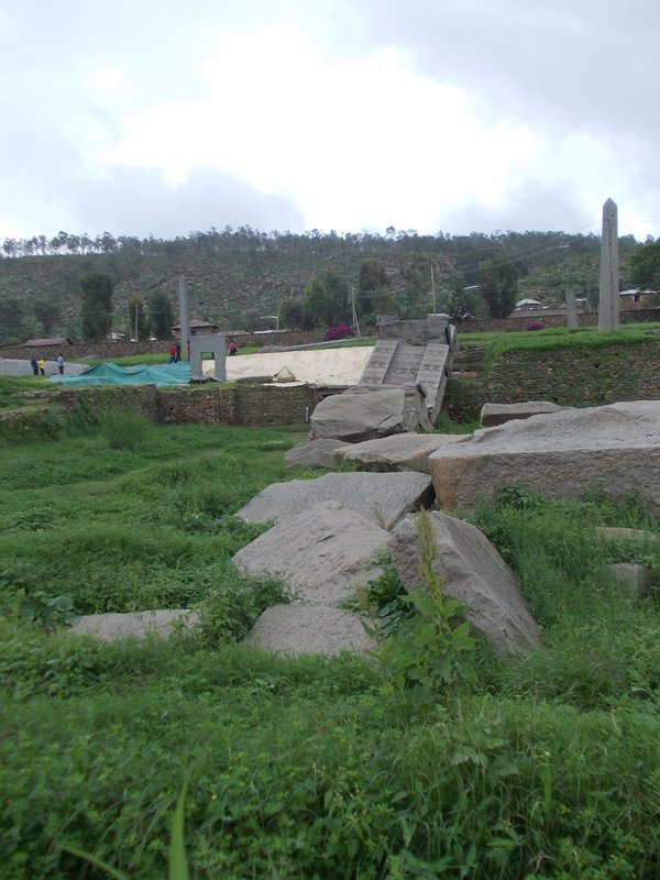 Axum stelae field