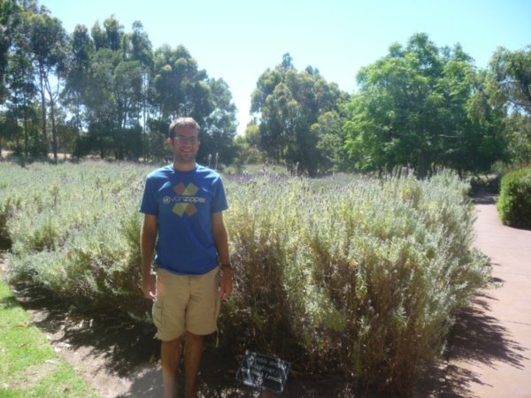 paul at cape lavender winery