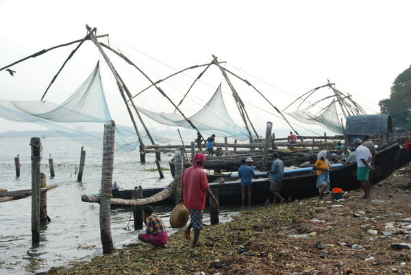 Chinese nets in Fort Kochi