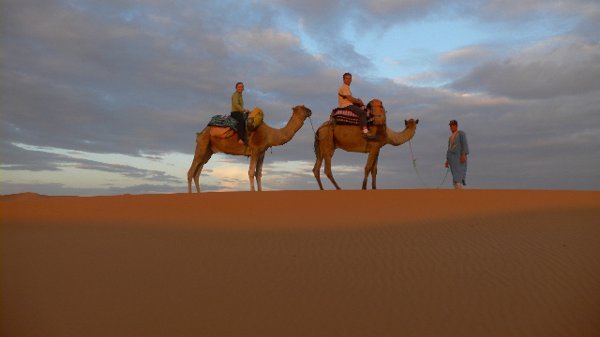 Sunset on camels in the Sahara