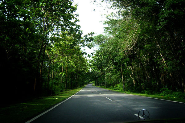 Langkawi Road