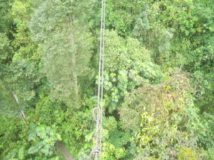 Mindo Cloud Forest
