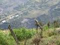 Near Tungurahua