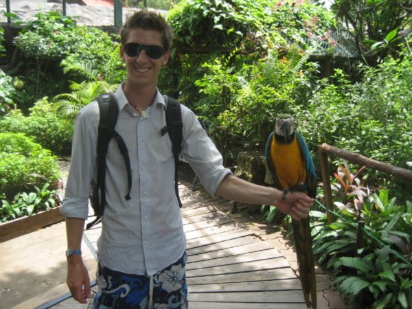 Liam & his Bird
