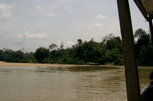 Boat Approach to TNNP