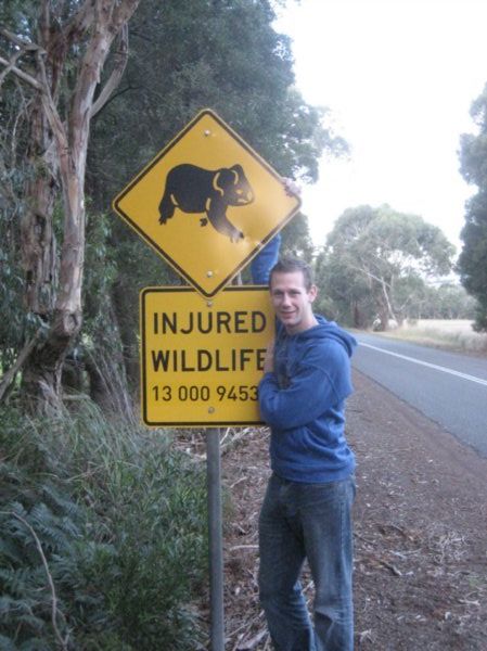 Protect the wildlife - drive slow