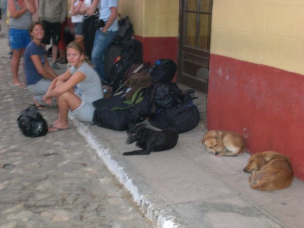 Linda , Hege og alle hundene venter paa bussen i Trinidad