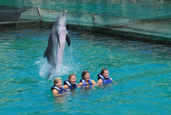 Delfinen hopper over oss.. moro! :)