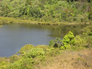 Oasis at the wildlife watching tower