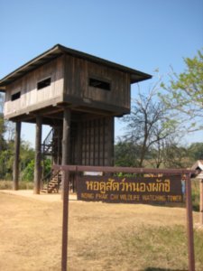 Watch tower for wildlife