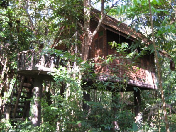 My treehouse