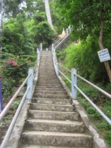 Tiger Temple stairs - OMG !!!