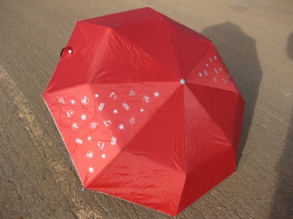 My umbrella for this trip