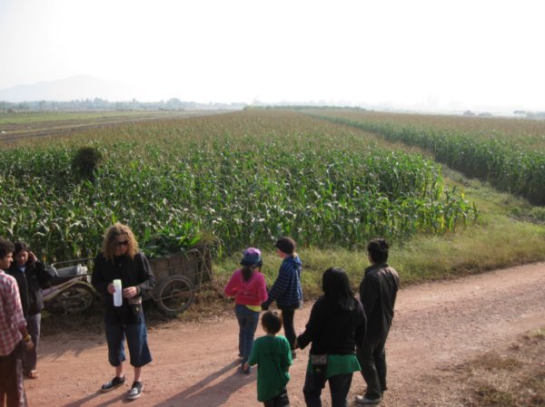 Into the corn fields