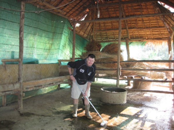 Cleaning the buffalo hut