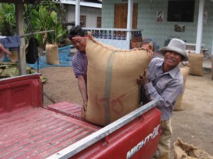 Locals loading rice