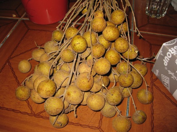 Lum yai fruit