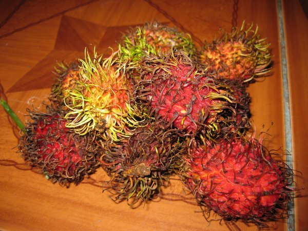 Rambutan - Thai Fruit
