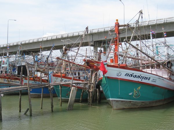 Boats moored next to the bridge
