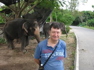 Elephants and me near Pattaya