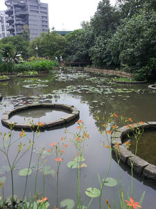 Taipei Botanical Gardens