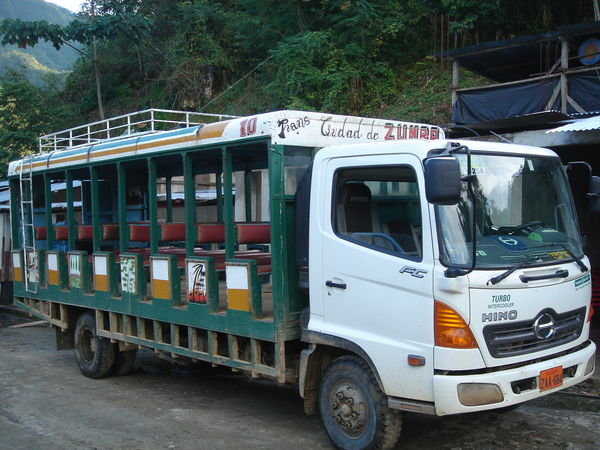 Zumba Bus