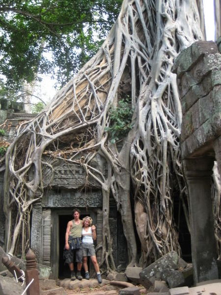 Banyan roots at temple