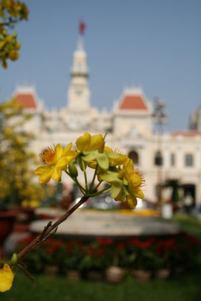 Flower's for Tet and the French Hotel