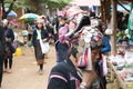 Tribal women at market