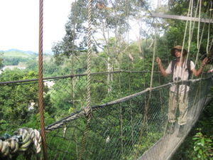 Me on Canopy walkway (Anny)