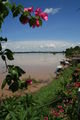 The Mekong and flowers