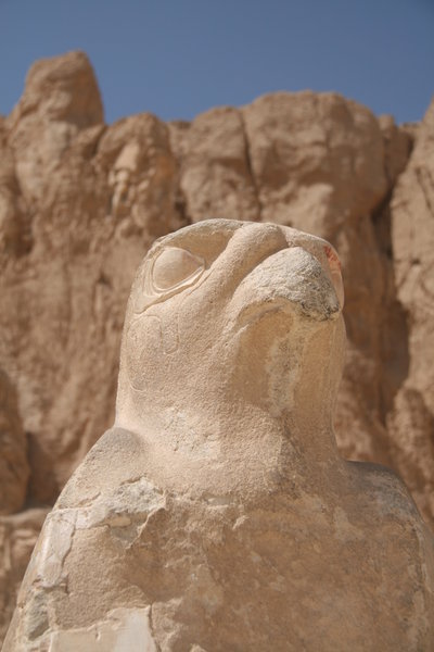 Horus at Hatshepsut