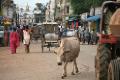 A typical Jagdalpur street scene