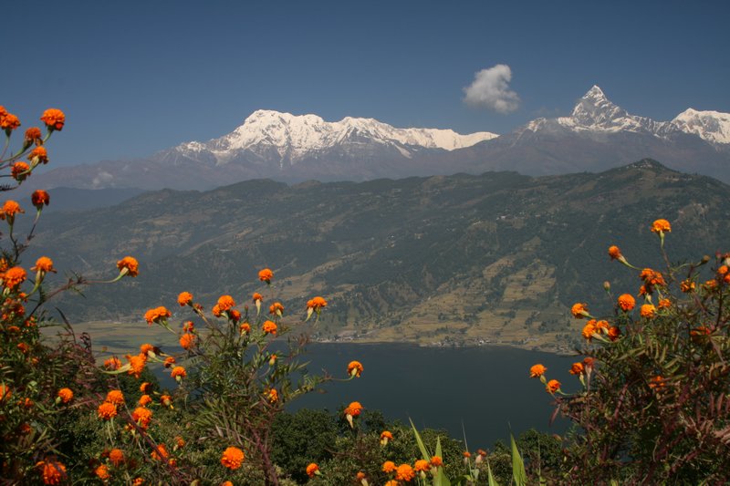 View over Phewa Tal towards the Himalaya