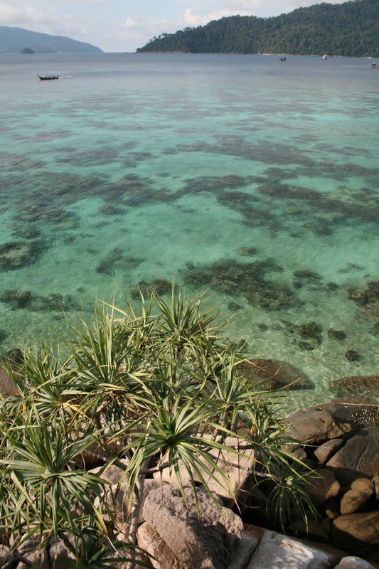Reefs and clear water, Ko Lipe