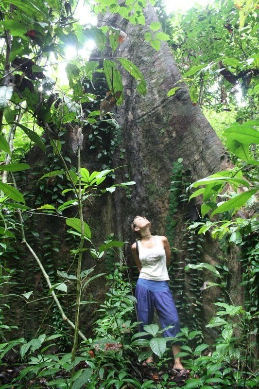 Anny and huge buttress roots, Sabang