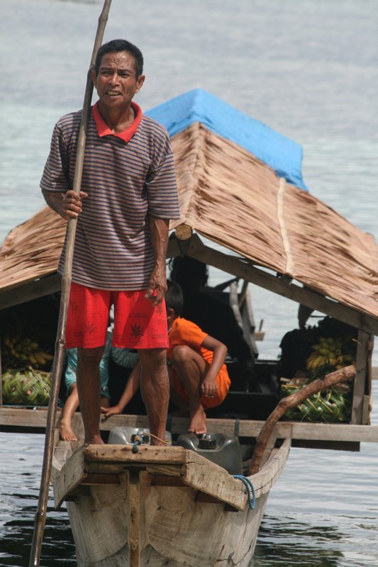 Bajo boatman sellingfruit, Kadidiri