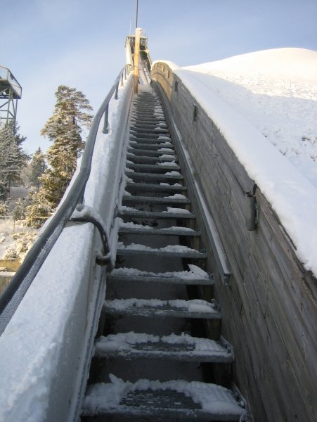 up the stairs to the top of the ski jump