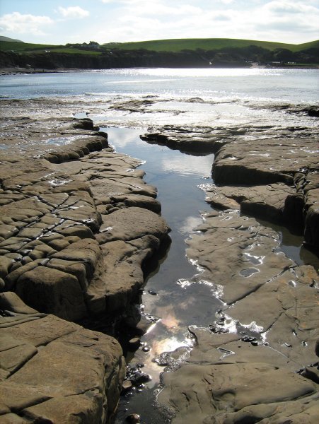 The Cretaceous stones at Kimmeridge Bay