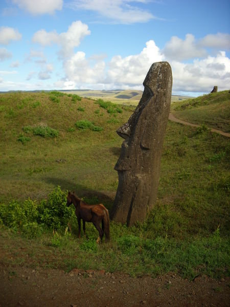 moai ja seuralainen
