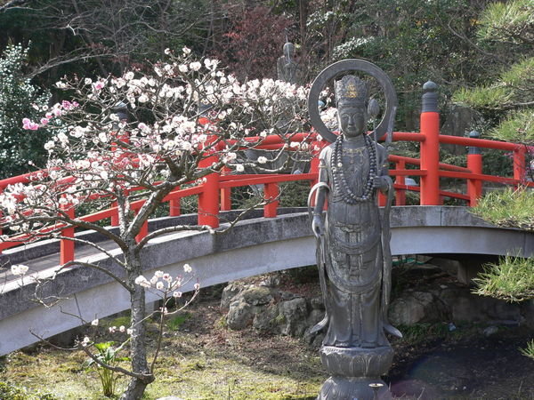 Plum Blossoms at Shotokuin