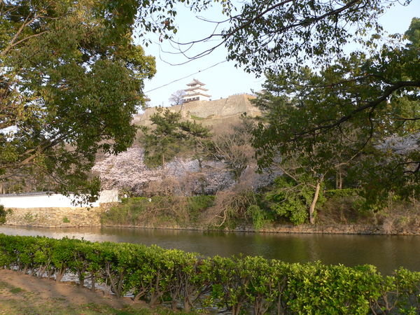 Marugame Castle