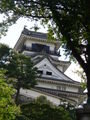 First View of Kochi-jo