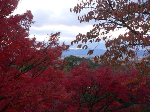 View from Kiyomizutera