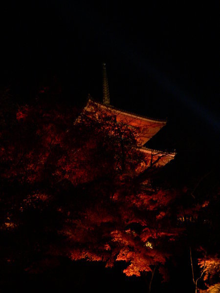 Kiyomizutera at Night