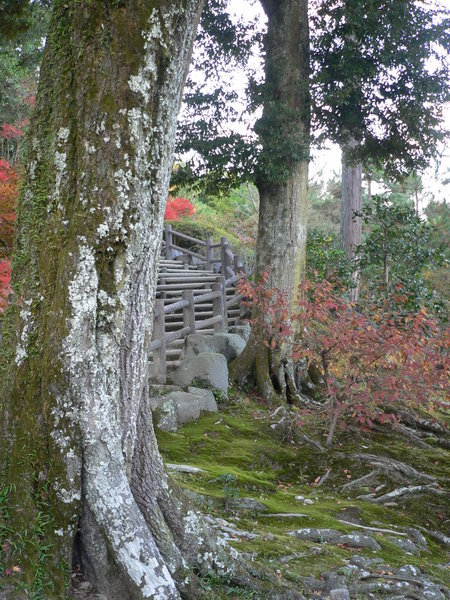 Path in Arashiyama