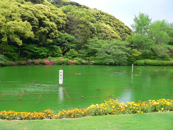 2nd pond at Umijigoku