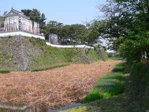 Shimabara Castle Moat