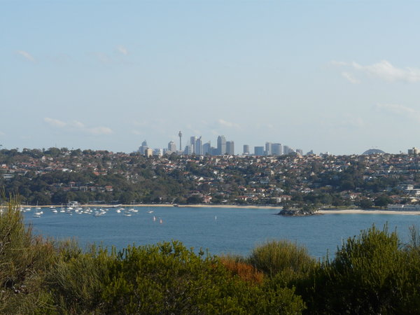 Downtown Sydney in the Distance